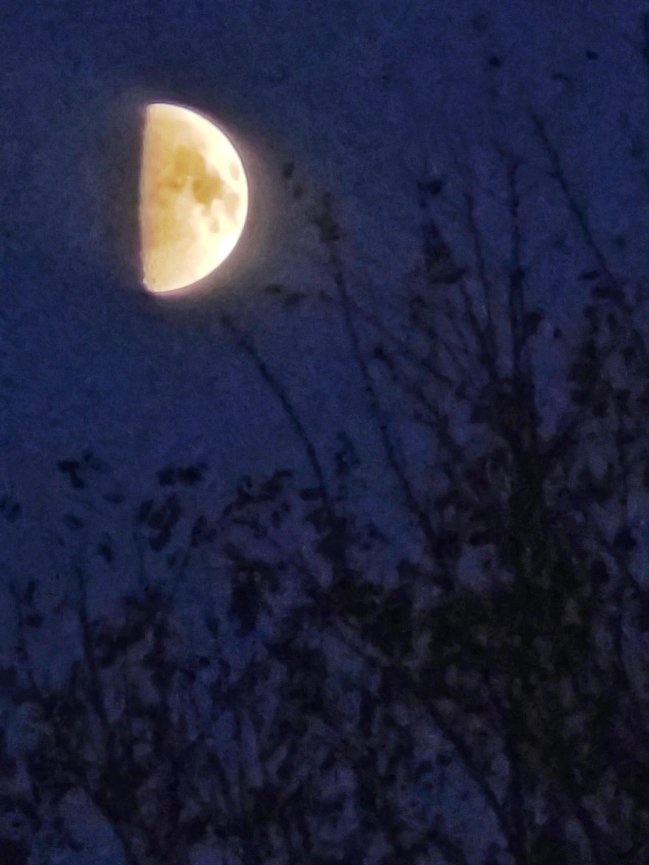 成长的告白＃我用摄影看世界＃