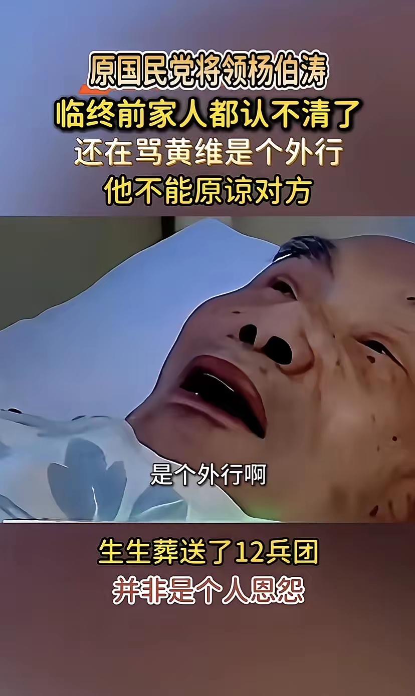 杨伯涛是个真正的军人，其军事能力卓越，虽然被刘邓大军包围后黄维兵团是完全有能力，