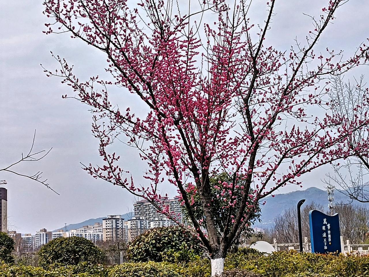 大年初二，我陪老婆回娘家，我准备买2000元礼品。突然老婆说:“给我爸妈钱就是