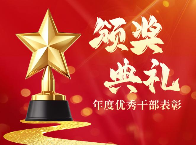 今年拿到县里优秀党务工作者，七一表彰大会开完没多久，单位政工干事来找我，登记银行