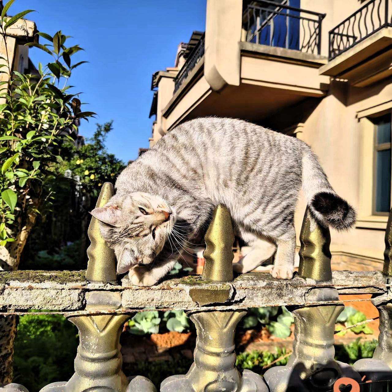 分析公开病历也能被告？东篱这官司戳中了舆论监督的痛点！民事纠纷讲究“谁主张