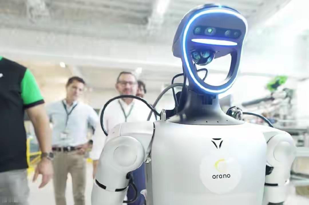 人形机器人第一波倒闭潮已至，细数最近一年倒闭的人形机器人公司人形机器人第一波