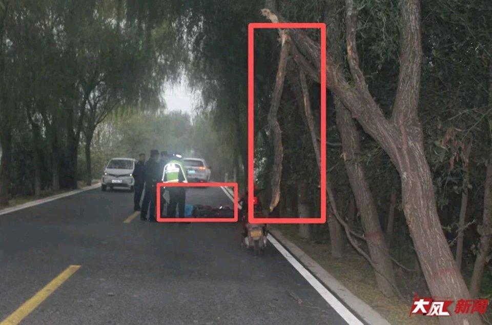 陕西兴平这起女教师上班途中“撞树枝”身亡的事故，真是让人揪心又疑惑。56岁女教师