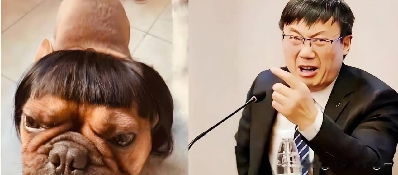 吵来吵去，英语争论背后，藏着一层很少人说透的现实。汤家凤教授和胡锡进围绕英