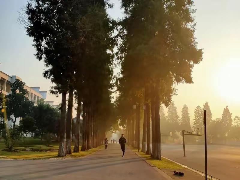 良好的交易心态并非天生，核心来自对市场规律的认知、对自身能力的清晰定位，以及经过