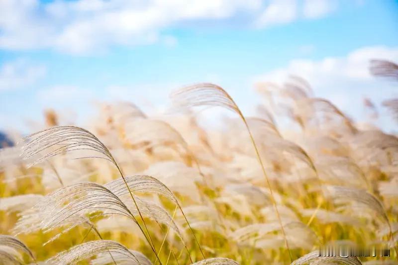 真正厉害的人，都在悄悄做这3件事。越来越觉得，一个人能不能走得远，从来不是靠运