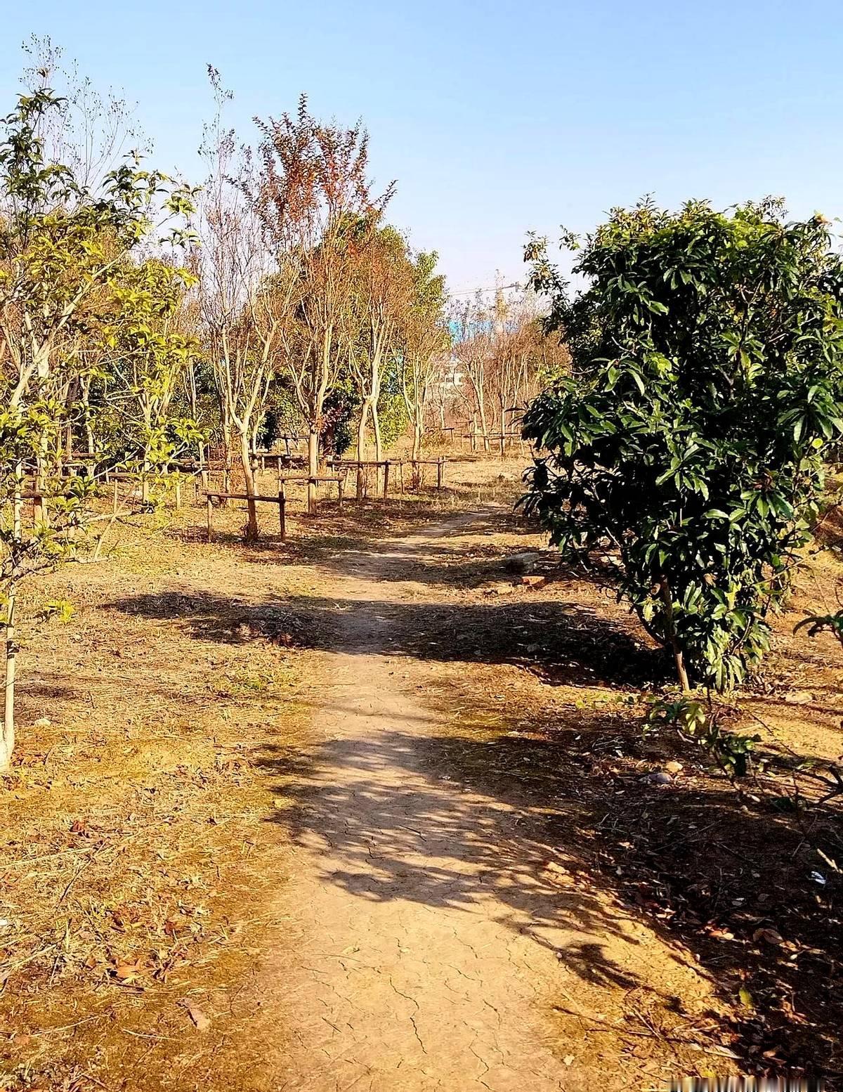 有位家长说，儿子大学读的是医学专业，8年了，只花钱，不挣钱，都后悔学医了。现在