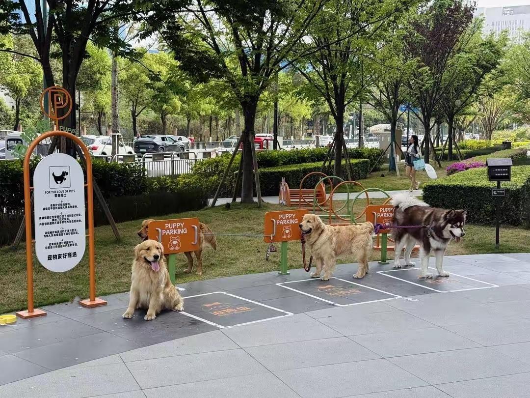 “这才是文明养狗应有的模样！”，成都一商场因“泊狗位”火出圈，引发网友们的热议。