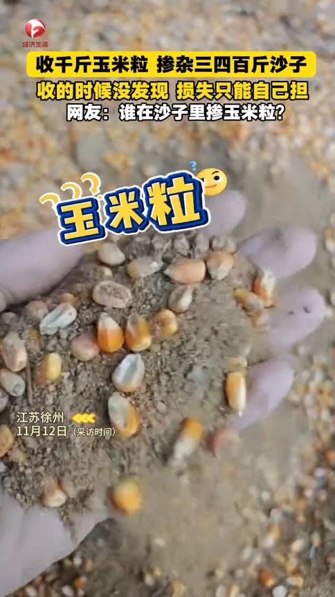 太缺德了！”近日，江苏徐州，一男子下乡收玉米粒，称重时足足有1000斤，由于他相
