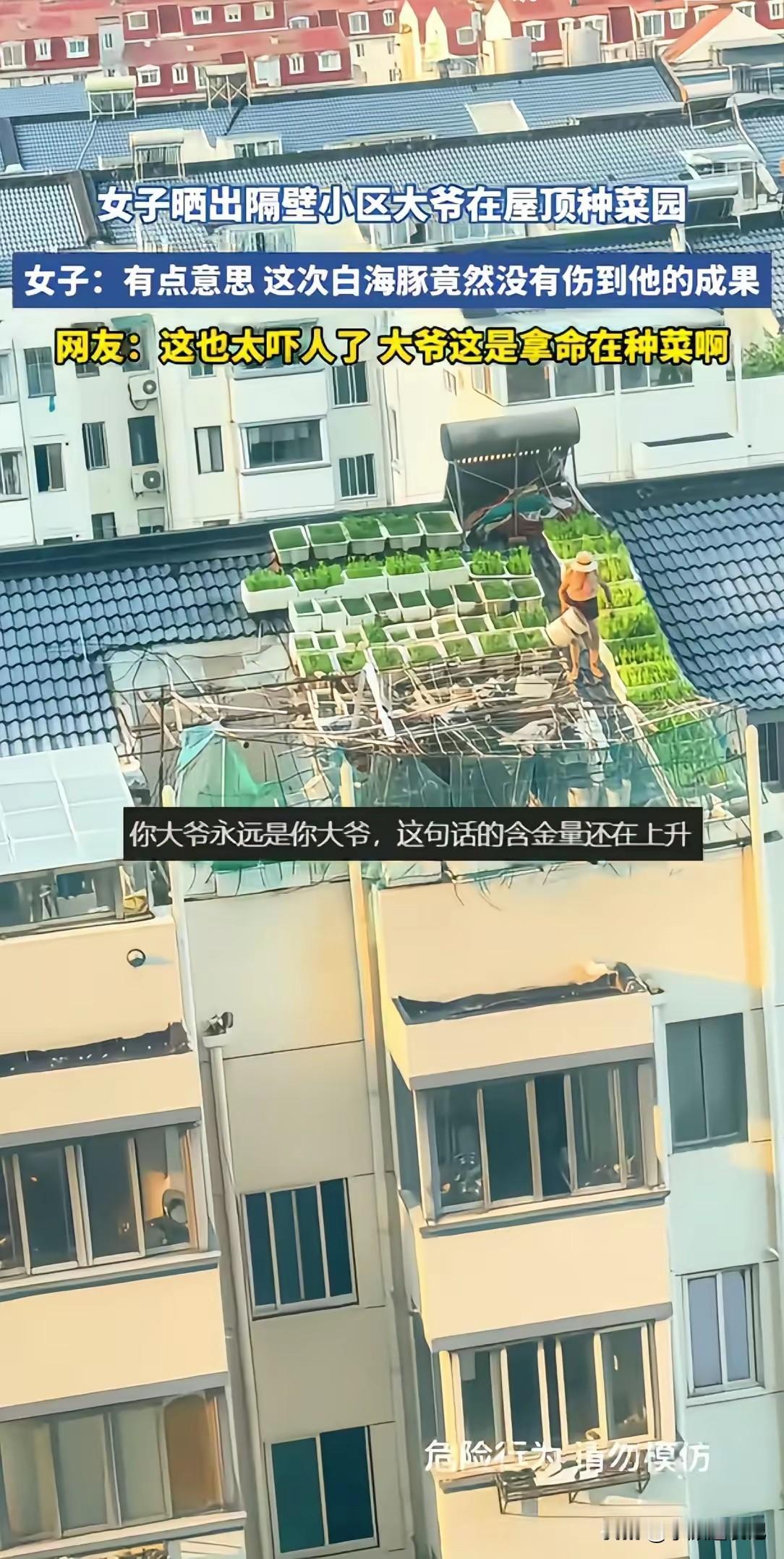 你大爷永远是你大爷，这句话的含金量还在上升！隔壁小区一位大爷，直接在楼顶开
