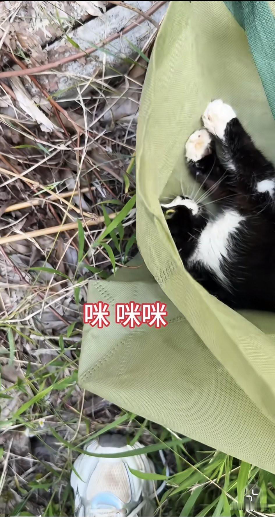 太可怜了！这天一位小姐姐去遛狗，结果走到一个公园的时候，狗狗朝着旁边的草地大吼起