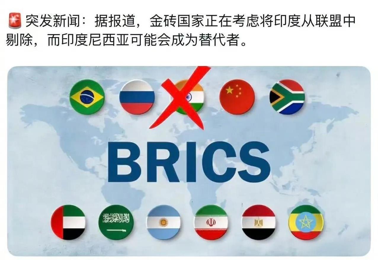 有消息称金砖国家正在考虑将印度开除出该组织，并让印尼接替印度在金砖组织中的地位，