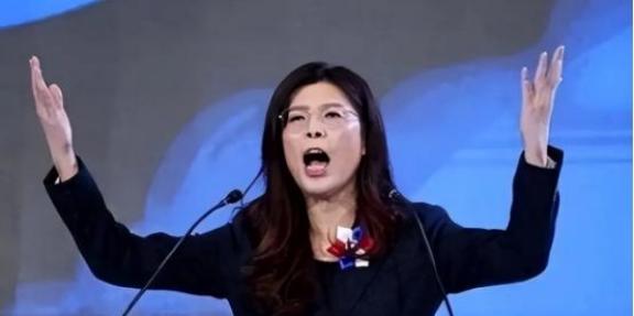 台湾蓝营终于摊牌了！郑丽文直接公开表明态度，坚决不接受一国两制。在此之前