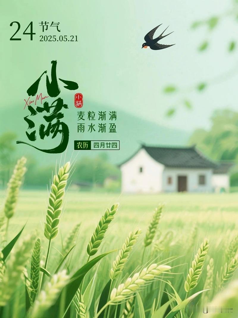 “白天小满，热死老牛；晚上小满，雨多不愁”，今年小满如何？再过几天就到小满