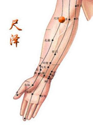 咽喉肿痛、咳嗽有热？肘窝里“尺泽穴”清肺热大家好，我是陈大夫！很多人肺热