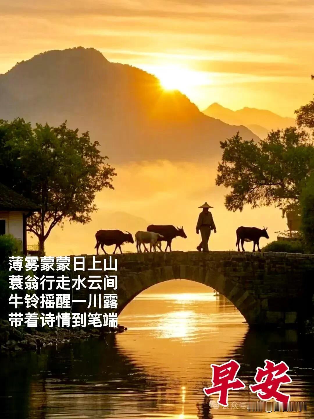 借清晨一缕微光，愿你勇敢且坚定，温柔且善良。