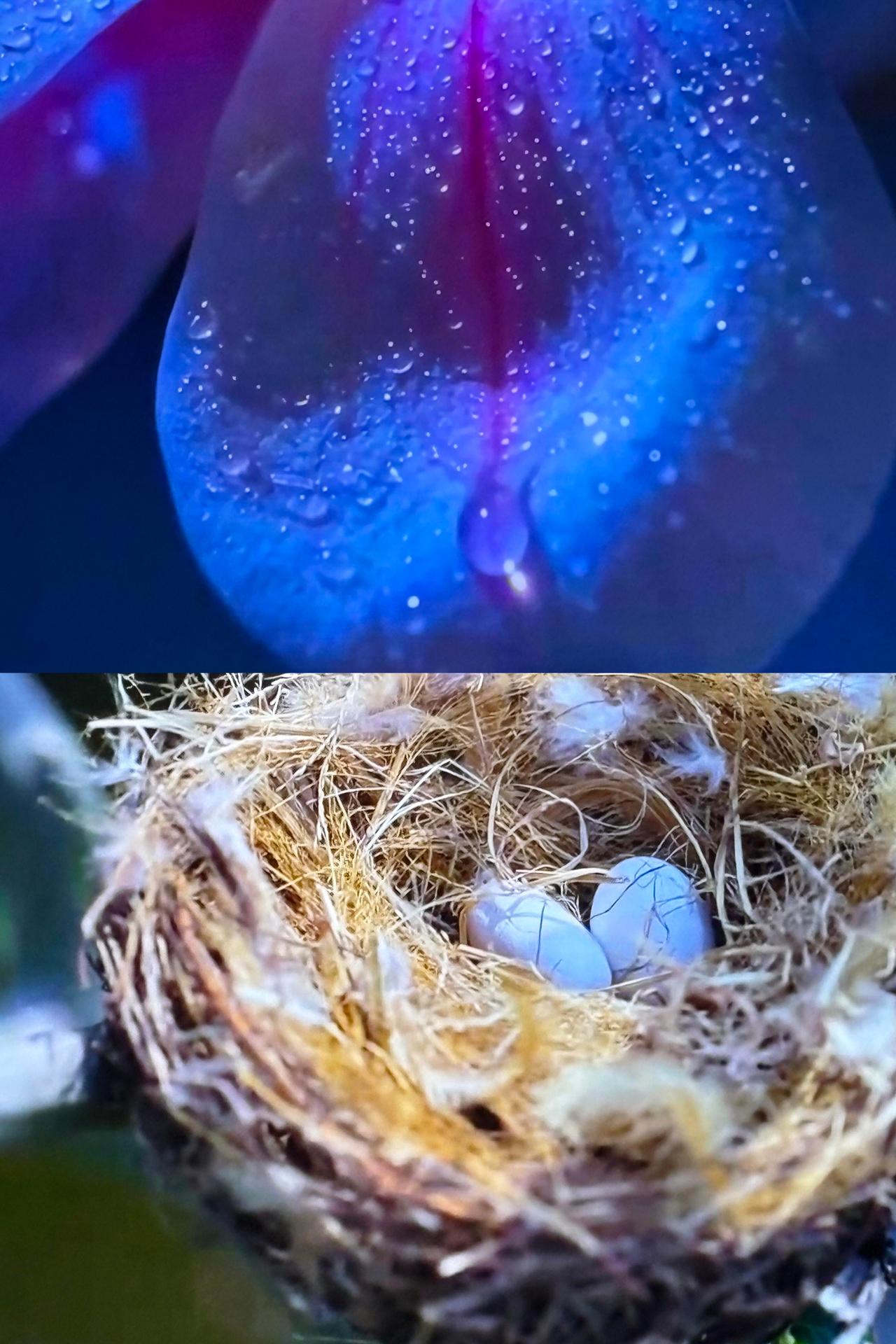 《兰香如故》这段圆房戏，高级到不敢快进。《兰香如故》的镜头语言太美了，感情的