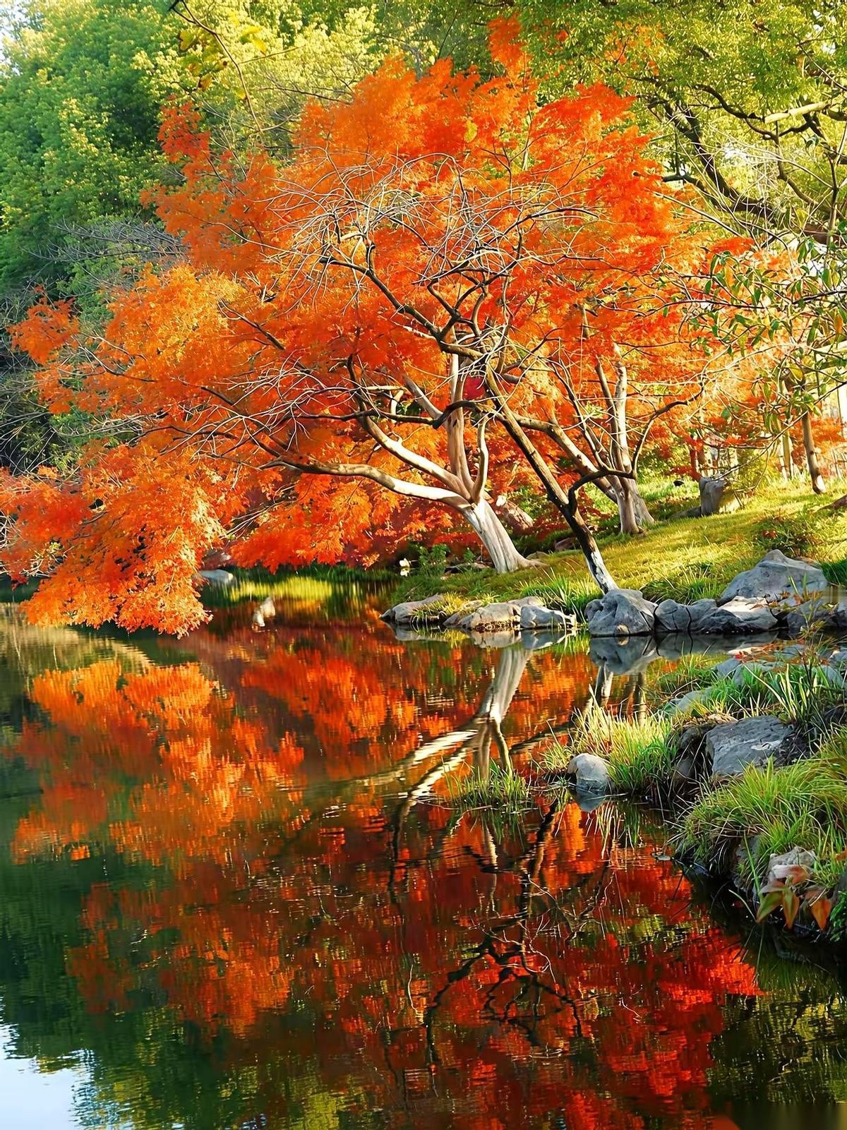 一个大爷，退休后疯玩了5年，几乎把中国跑遍了。我问他啥感觉。他说，就俩字：上