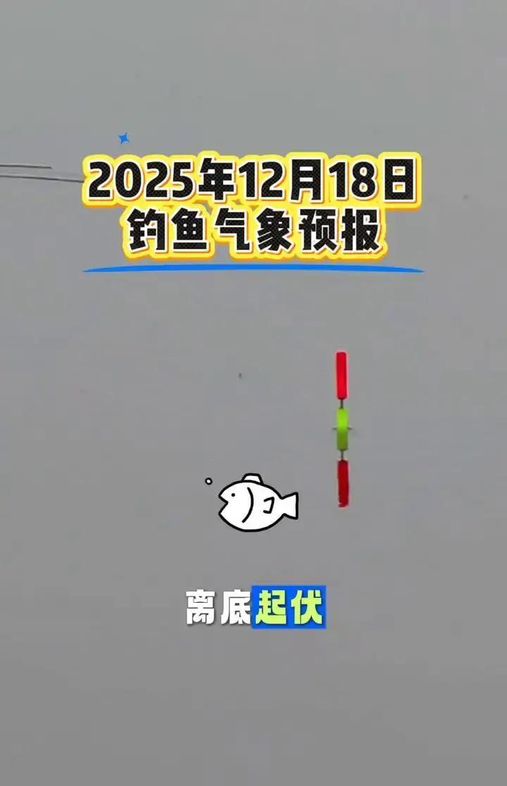 别怪鱼不开口，它正在水下缺氧难受。盯着天气预报没用。长江流域水温比往年高了