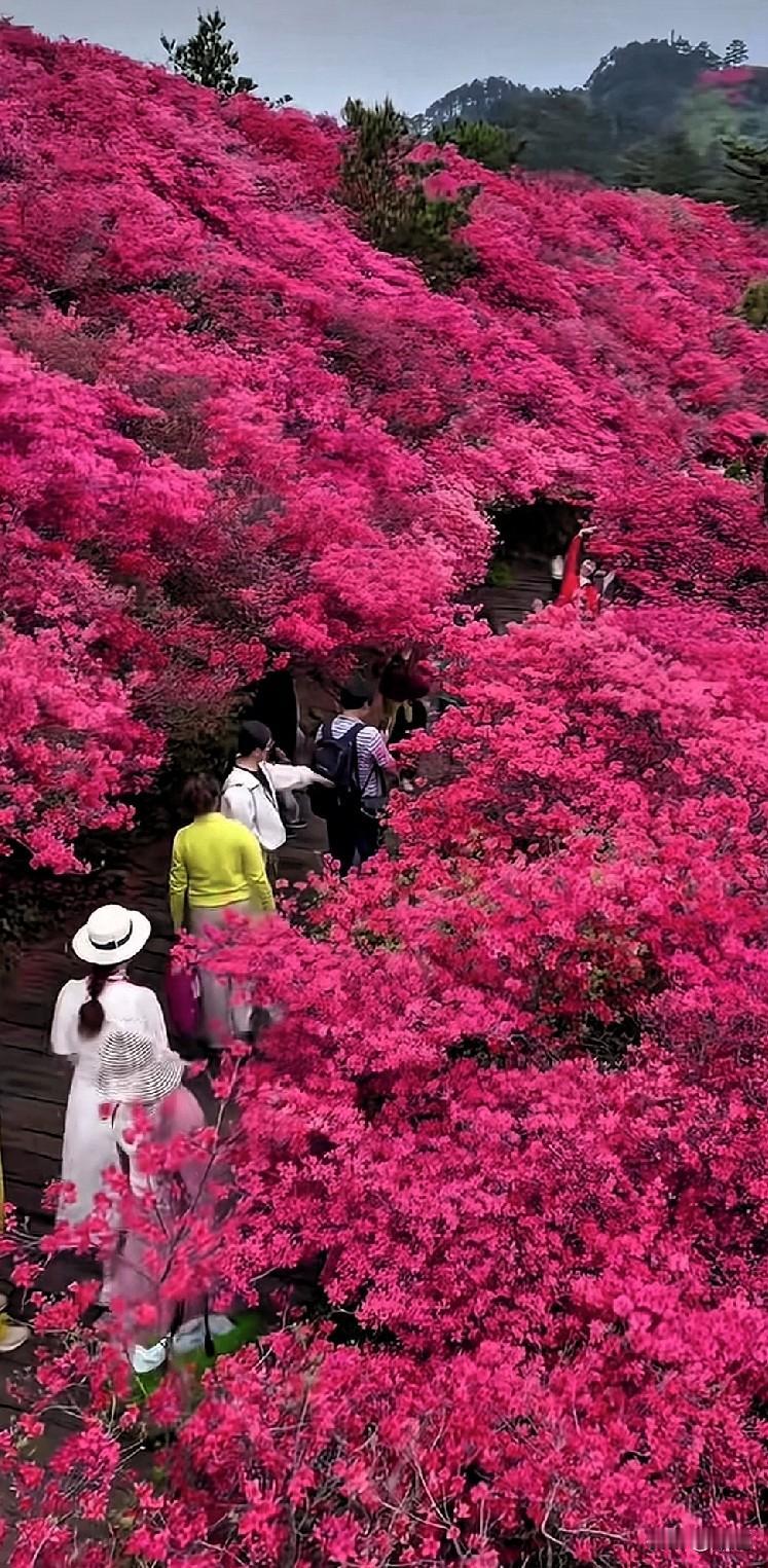 我问班上服务生小罗，你是哪年来深圳的？他说是06年来的，二十年了。我说这二十年