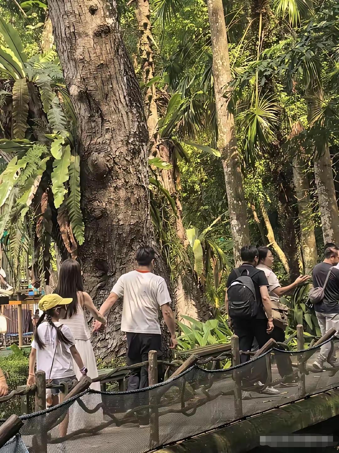 这是怕对方跑了吗？郭富城和方媛，结婚多年爬山还下意识牵手，是相处久了的自然习