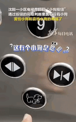 这次真的想点赞了。沈阳一男子坐电梯发现有个小狗按钮，亮起时表示内有宠物，怕狗