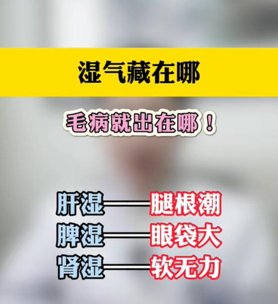 中医科普：湿在肝、脾、肾，身体分别会有哪些信号