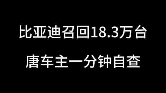 今天比亚迪召回18.3万台车的消息出来，群里有人问我：你的大白糖在不在召回范围？