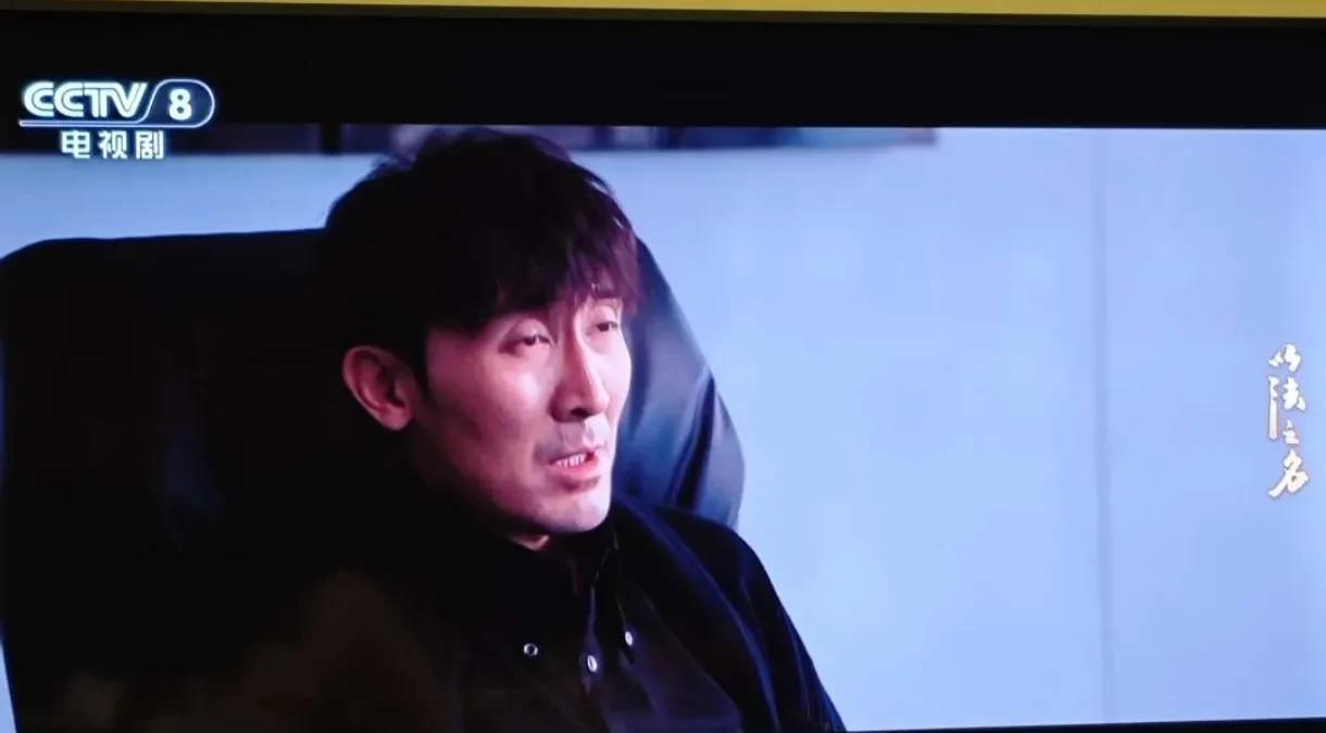 《以法之名》里这个演陈胜龙的演员长得很像张鲁一啊，感觉是非正义版的张鲁一