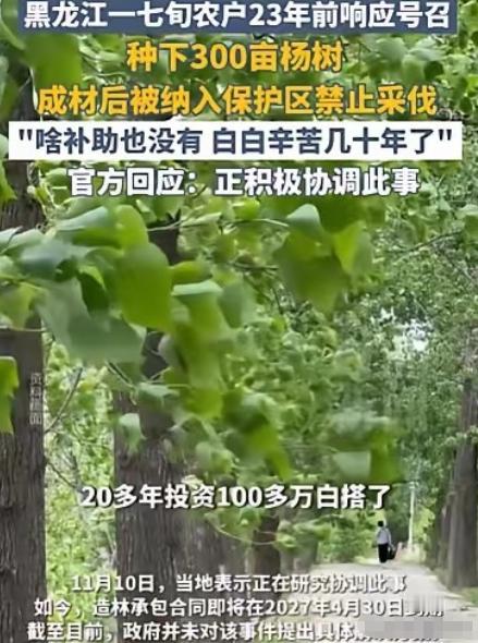 黑龙江齐齐哈尔市，72岁农妇，在23年前，种了300亩杨树，有数万棵，投资了10