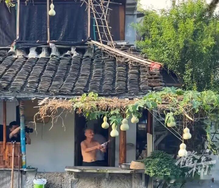 真的挺感慨，爷爷亲手摘掉那七个网红葫芦娃了。估计很多人和我一样，一开始刷到