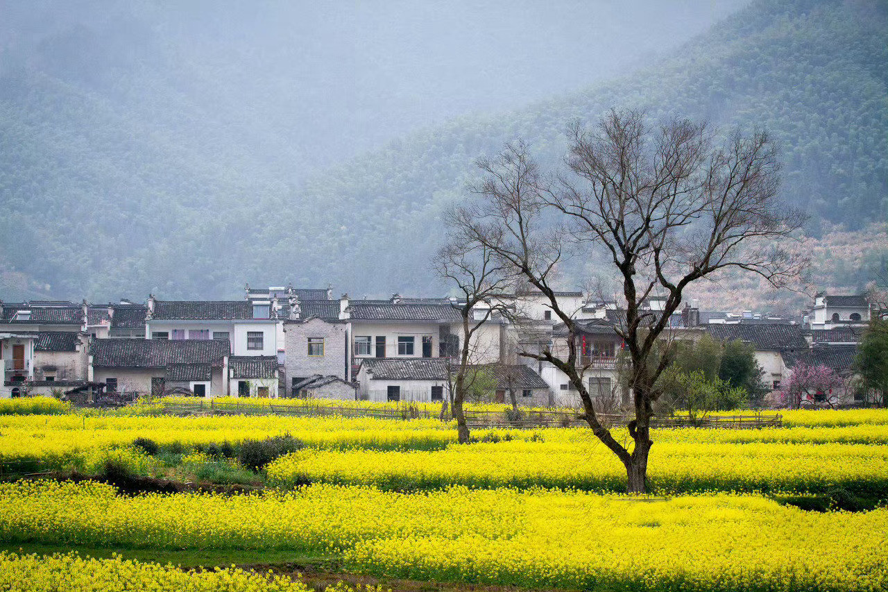 安徽黔县卢村，充满诗情画意，宛若世外桃源……