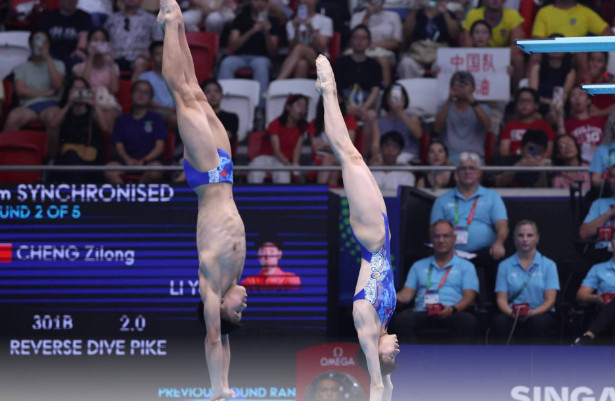 跳水世界杯中国队狂揽金牌28日，2026年世界泳联跳水世界杯加拿大蒙特利尔站混