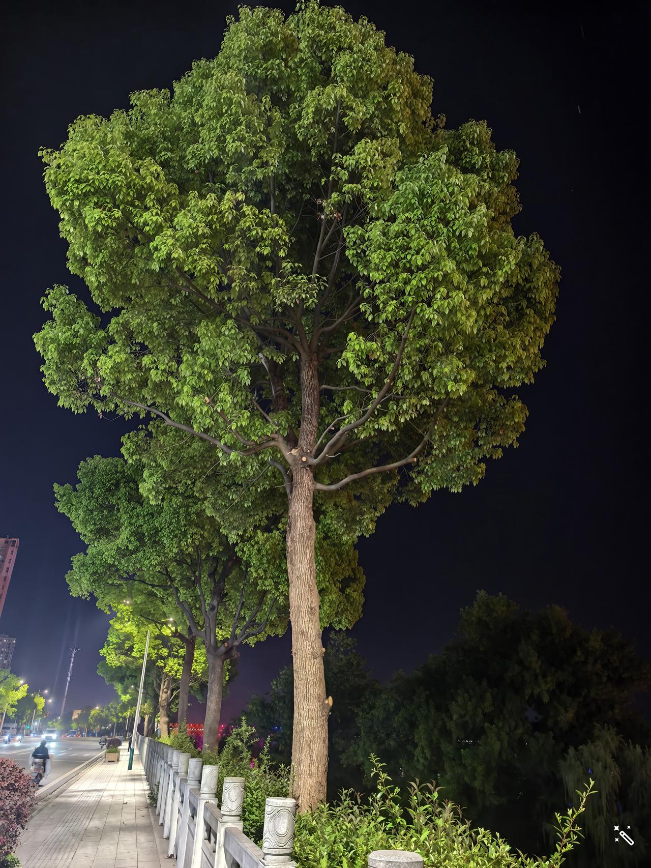 圣人采到天地之气以后，就实现了长生不老，与天地同寿。随着圣人修为境界的提升，他完