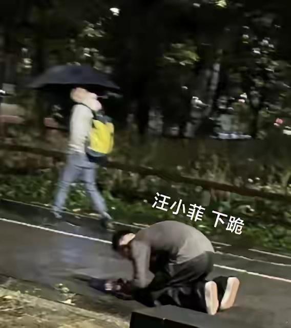 汪小菲终于洗白了！马小梅闺蜜爆料雨中跪地不是伤心！最近汪小菲可算翻身了！前两天半