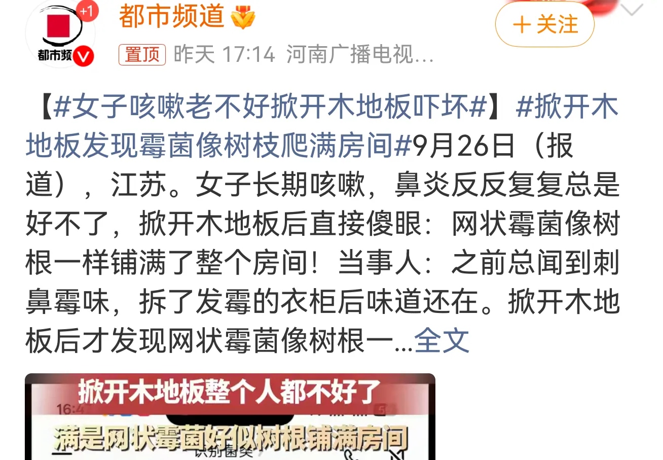 咳嗽几个月，鼻炎反反复复，吃药就是断不了根。最后掀开家里的木地板，人傻了。江苏一位女士，长期咳嗽、鼻