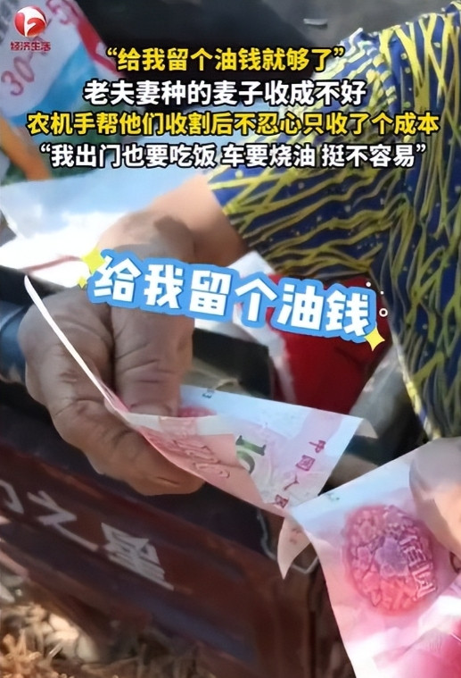 河南济源，男子帮一对老夫妻收割麦子，结果3亩地，只收了3个袋子的麦子，看起来也就