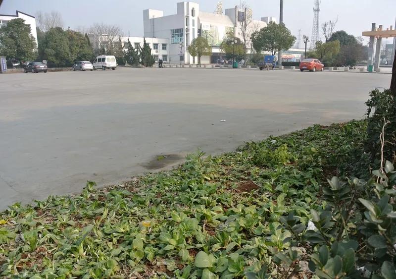 改革开放后的多种经营打破了往昔的一潭死水。不过也产生了诸多问题，贫富分化便是最