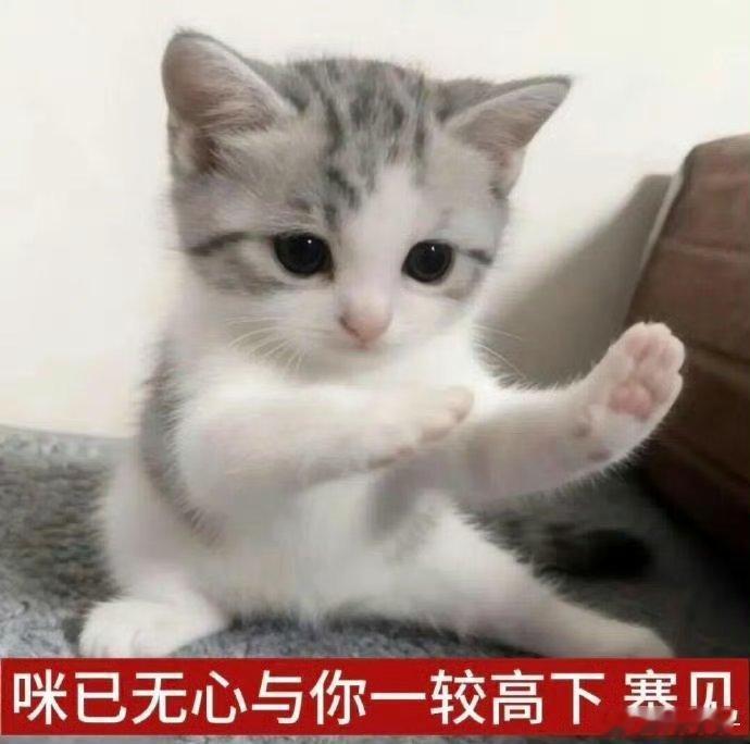 小故事两则齐司礼一、你跟岐舌收拾书房的时候忍不住玩闹起来玩的太开心以至于你忘记