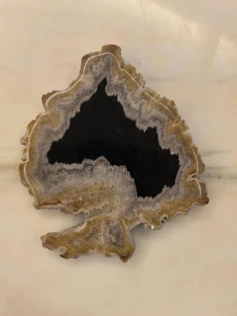 全世界只有一种水果，人不配先吃，神先尝。 五千年了，别的水果拼了命想上餐桌，