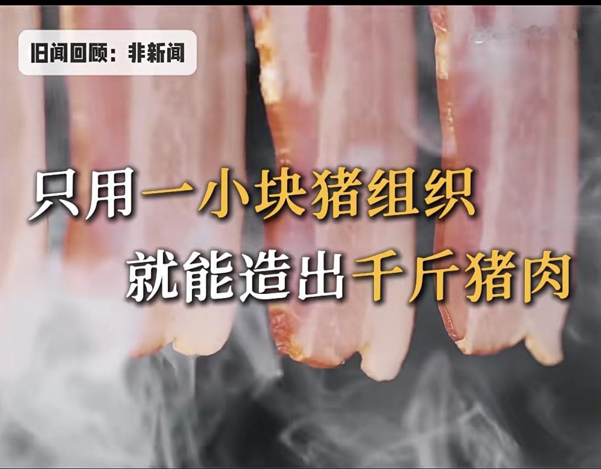 一片猪组织，竟能造出千斤猪肉！天哪，以后怕是连一块真猪肉都吃不上，实在太可怜啦