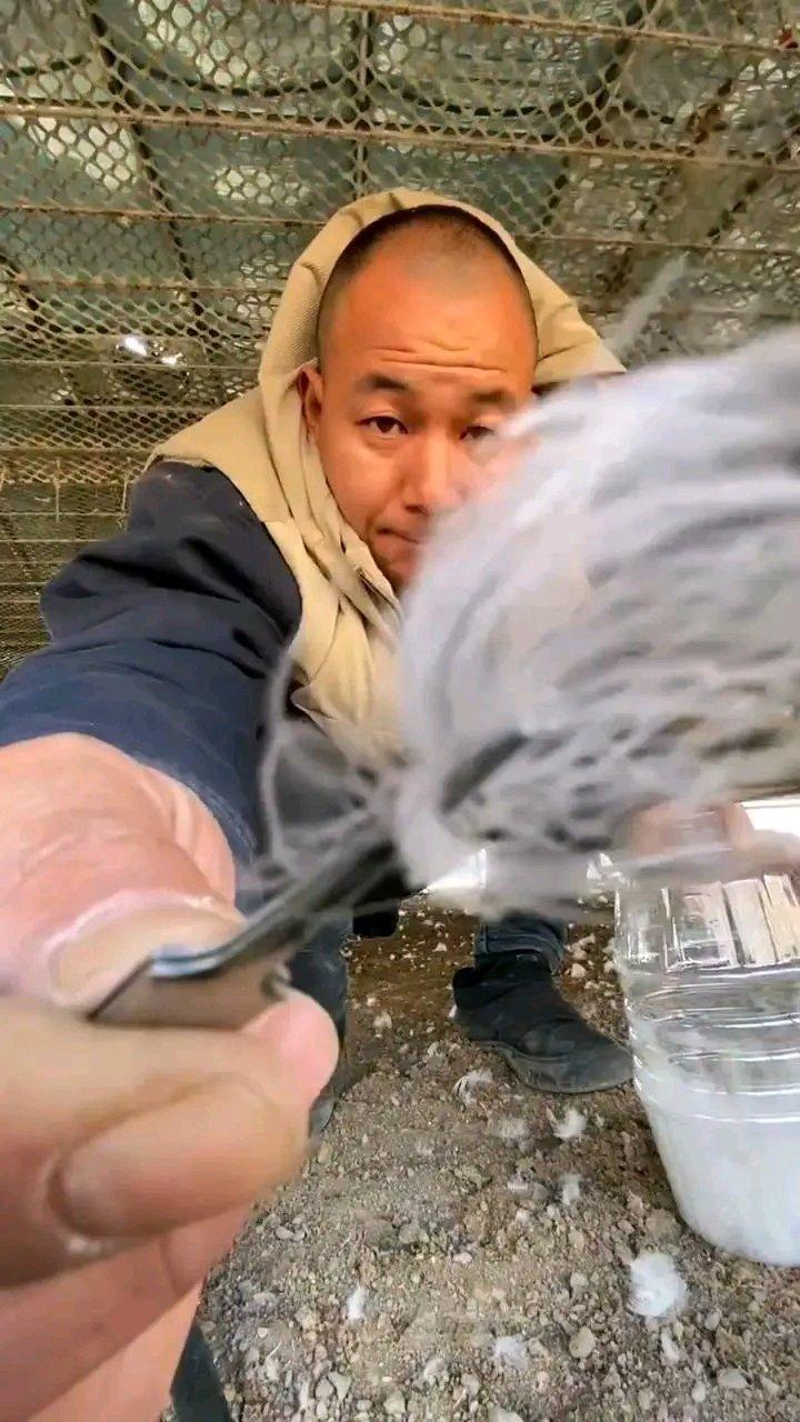 辽宁鞍山的李先生太让人感动了！他是养鹅七八年的专业户，存栏1800只鹅。往年给媳