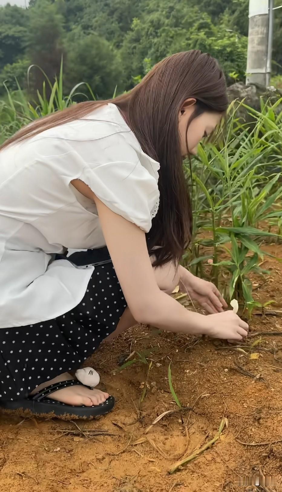 山卡拉地方风景最美丽