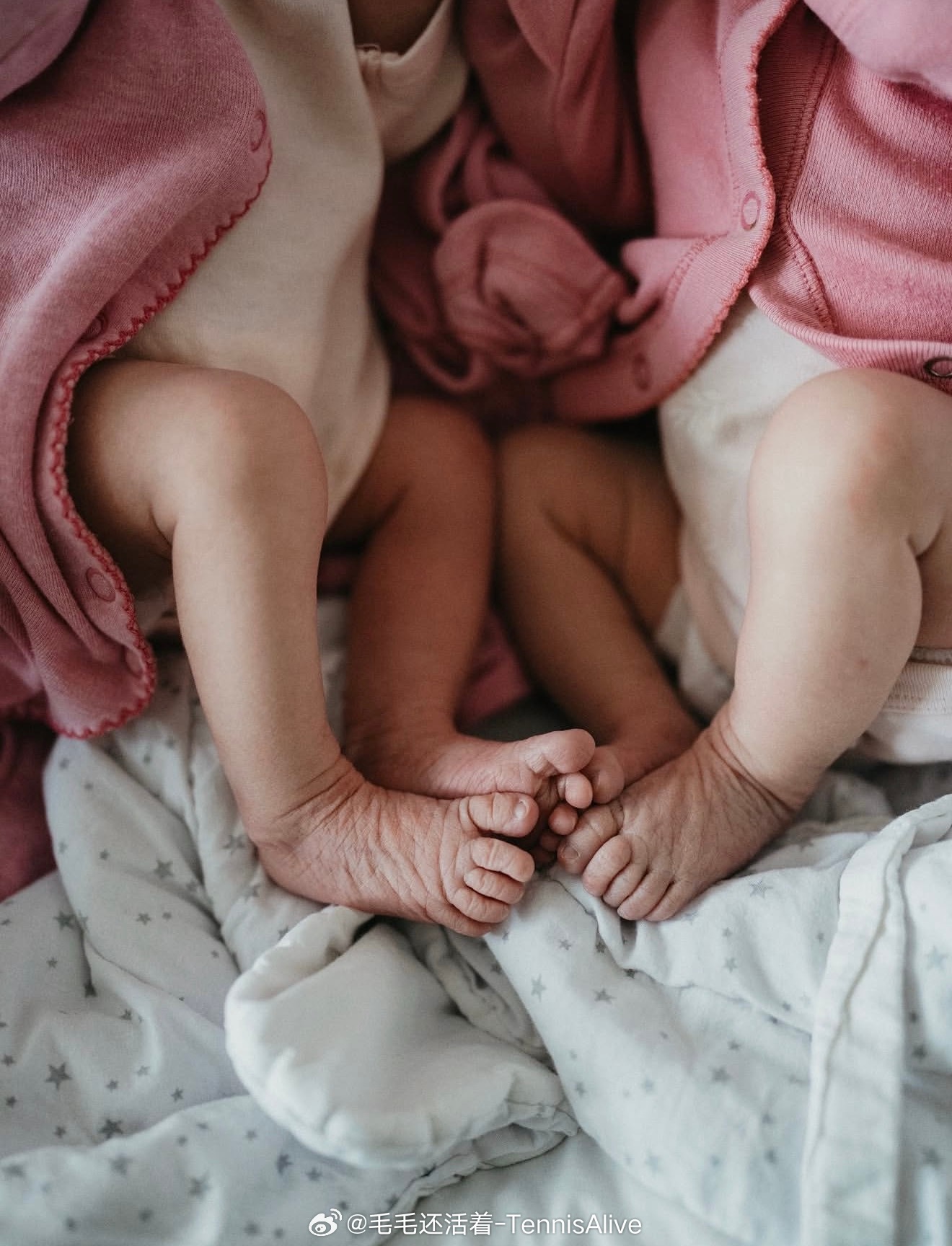 科维托娃的第二胎双胞胎宝宝出生了。