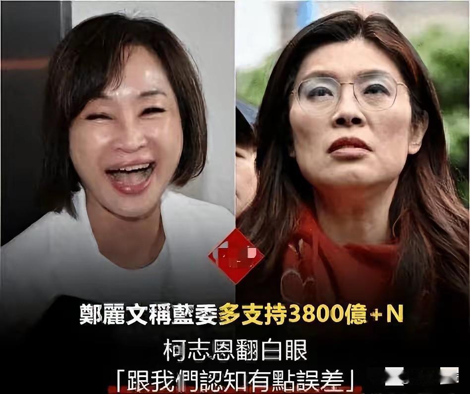 郑丽文恐怕做梦也想不到，自己亲手推上战场的柯志恩，竟成了悬在头顶的达摩克利斯之剑
