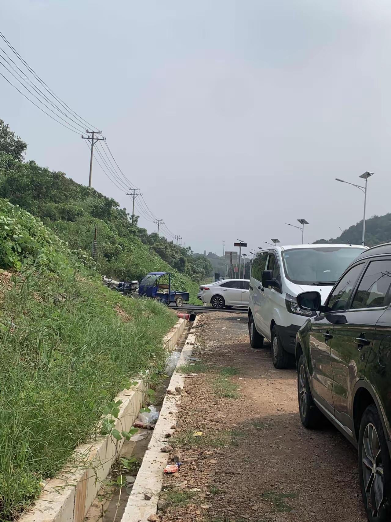 被路边的这一幕惊呆了今天闲来无事去邻县游玩，路过一座山脚下看到路旁边停着很多