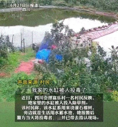 “这跟杀人有什么区别！”6月22日，四川，一女子家果园里的监控提示报警，女子本以