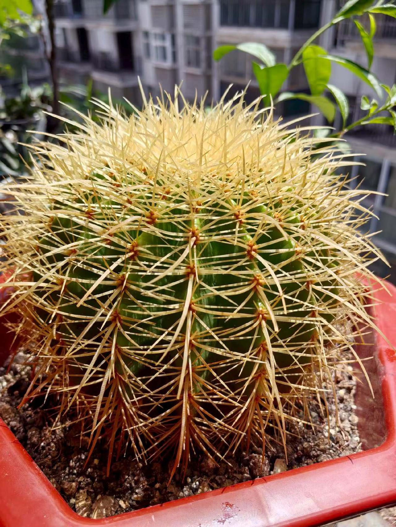 我的一女业主家卫生间漏水严重，屋里都要打伞，电灯线路都淋坏了，她说楼上的态度蛮横