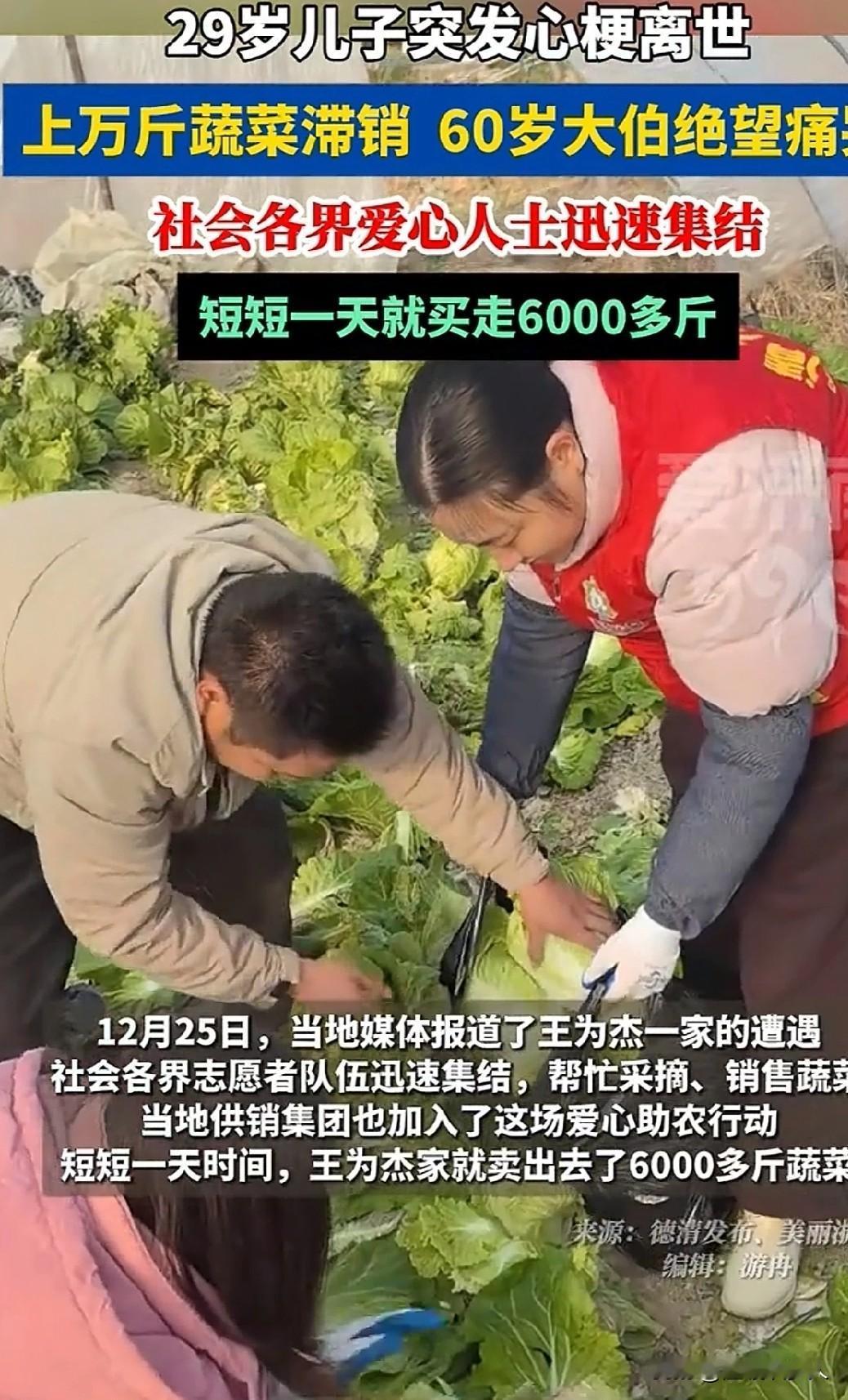 患难之处见真情！近日，浙江德清六旬菜农王为杰看着40亩滞销蔬菜老泪纵横——壮年儿