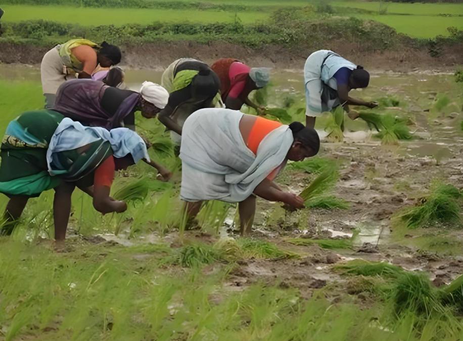 三哥的脑回路真是不一般。明明国内急缺化肥都到了火烧眉毛的时刻，明明想来中国买，却